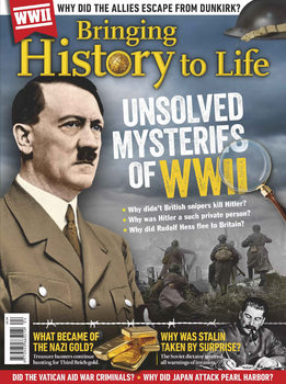 Unsolved Mysteries of WWII (Bringing History to Life)
