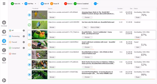 Any Video Downloader Pro 10.2 (x64)