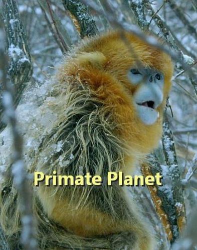 Царство приматов / Primate Planet (2025) HDTVRip 1080p