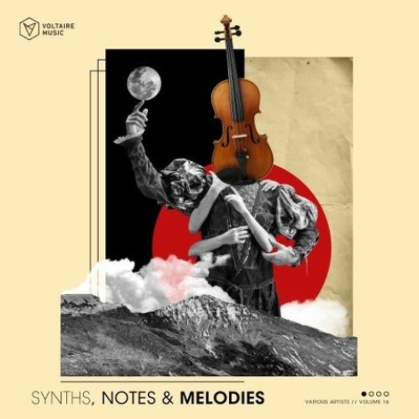 VA - Synths, Notes & Melodies, Vol. 16 (2025) mp3
