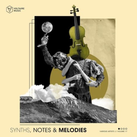 VA - Synths, Notes & Melodies Vol. 17 (2026) mp3]