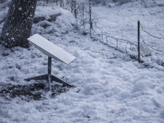 Через відключення Starlink у окупантів назріває бунт проти керівництва