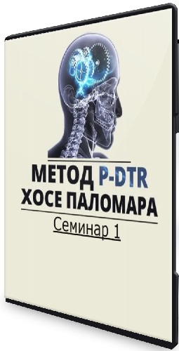Николай Струков - Метод P-DTR. Семинар 1 (2024) CAMRip