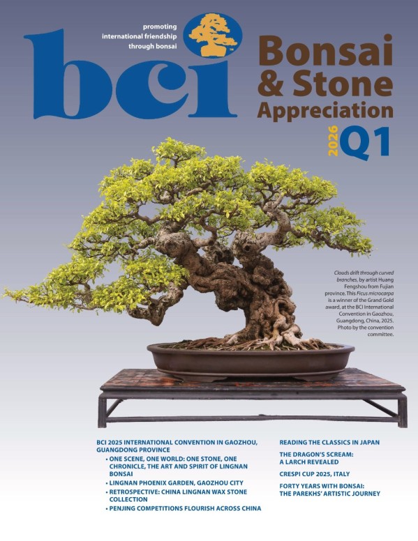 BCI Bonsai & Stone Appreciation Magazine - Q1, 2026