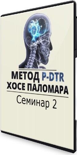 Николай Струков - Метод P-DTR. Семинар 2 (2024) CAMRip