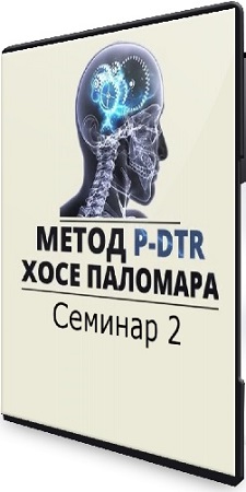 постер к Николай Струков - Метод P-DTR. Семинар 2 (2024) CAMRip