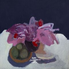 (Indie Rock) Asher White - Home Constellation...