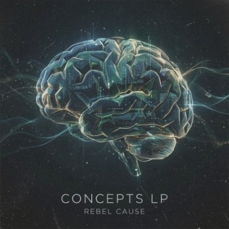 Rebel Cause, Definate - Concepts (2026) mp3