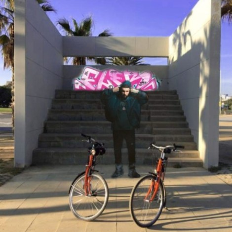 Fler - Palmen aus Beton (Mixtape) (2023) mp3