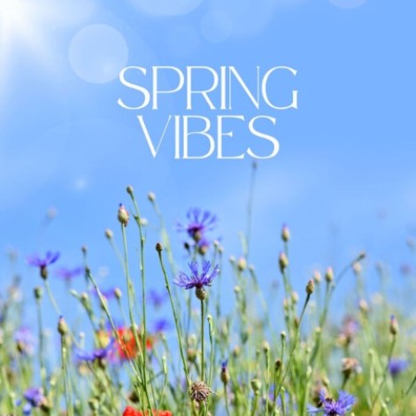 VA - Spring Vibes (2026) flac