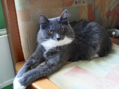 ��� �������� - ����������� ������ ! ( ���. ����� 2.)