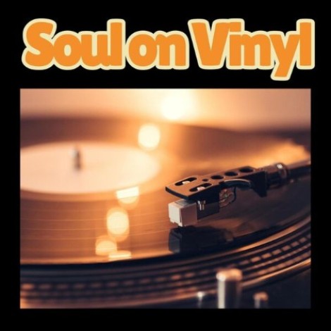 VA - Soul on Vinyl (2026) flac