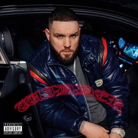 Fler - WIDDER (2021) mp3