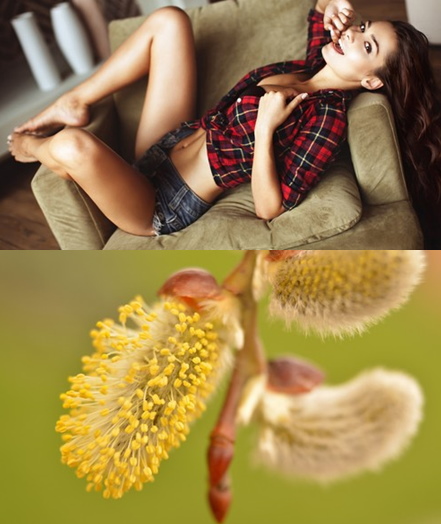 Best Wallpapers Mix Collection 50