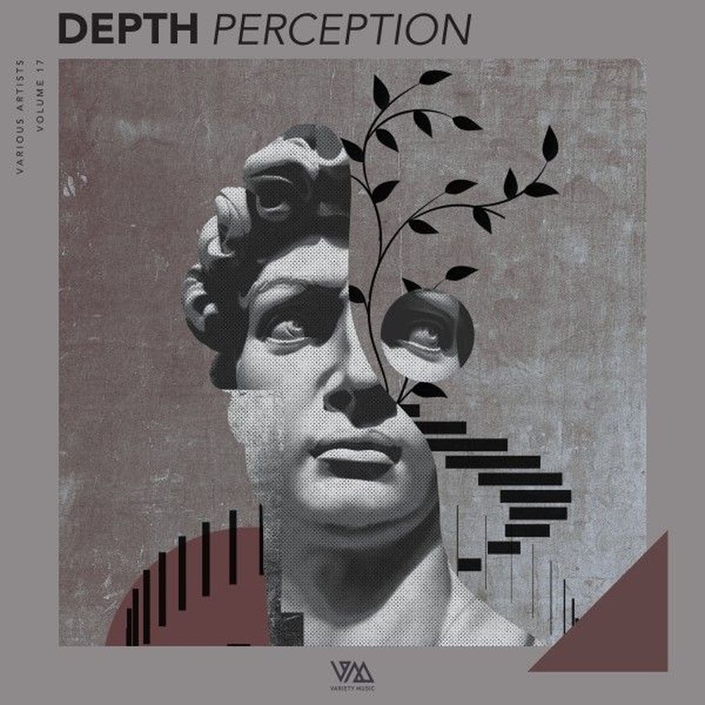 Depth Perception, Vol. 17 (2026)