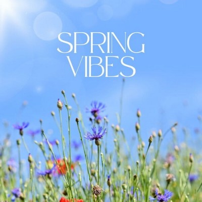 Spring Vibes (2026) FLAC
