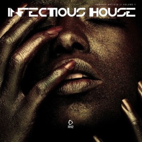 VA - Infectious House, Vol. 1 (2026) mp3