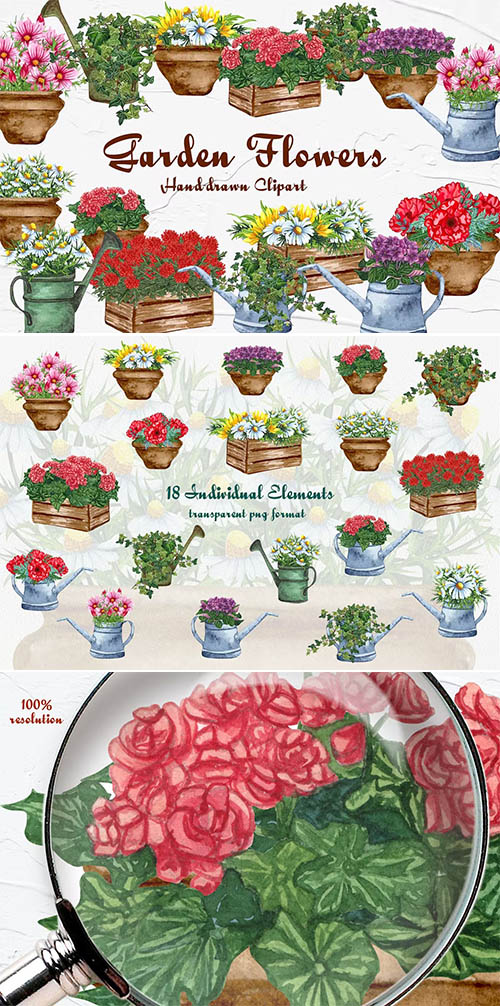 Garden Flowers Watercolor Clipart PNG