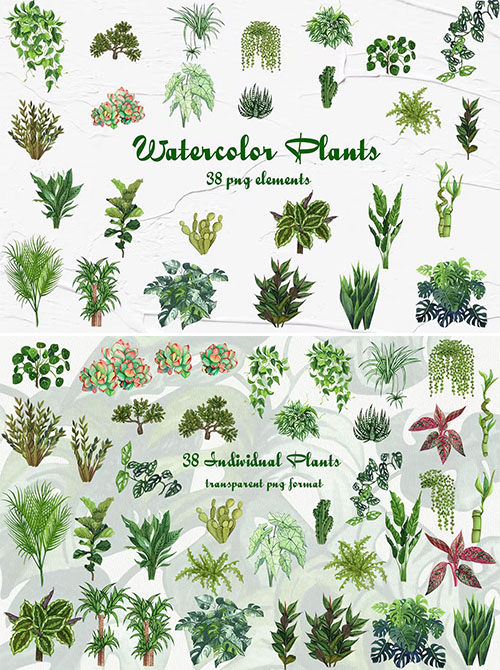 Watercolor Houseplants Clipart PNG