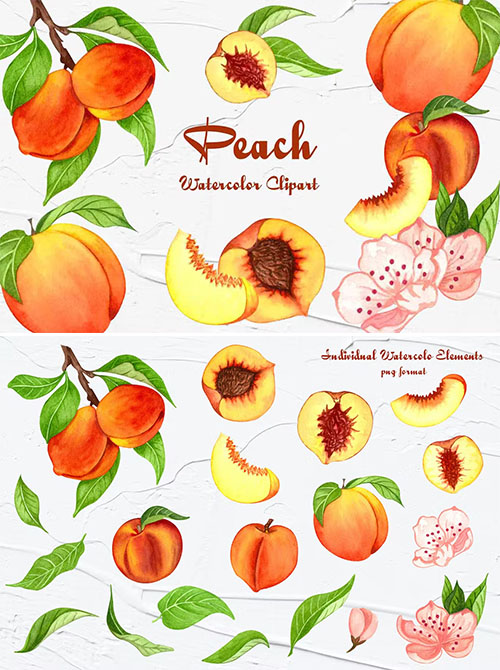 Peach Watercolor Clipart PNG