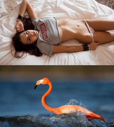 Best Mix Wallpapers 803