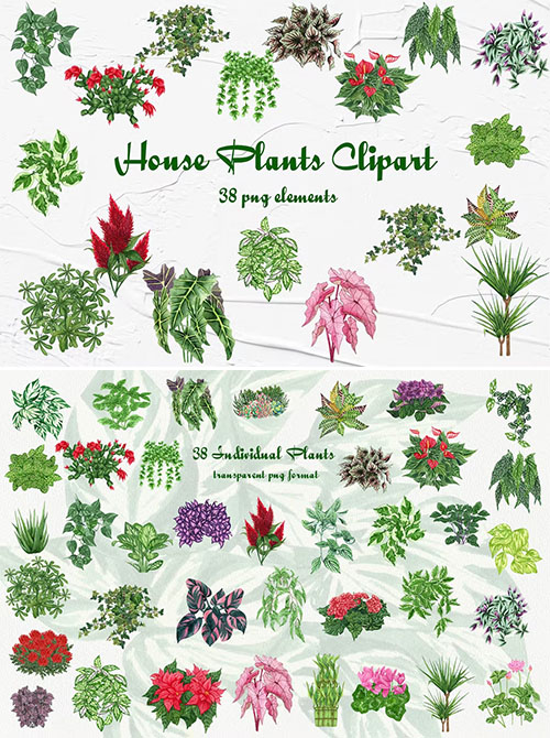 Watercolor Plants Clipart PNG