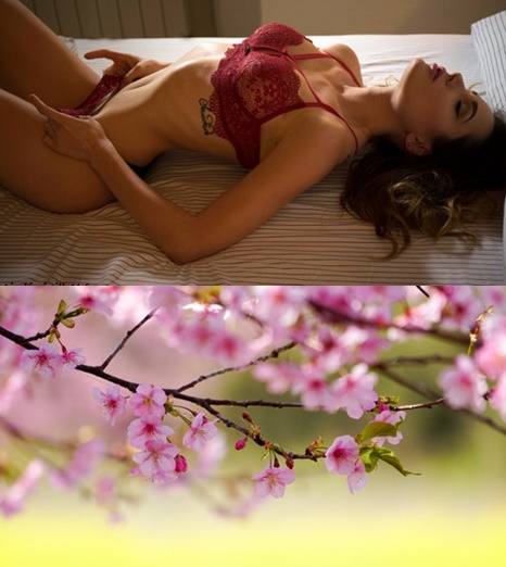 Mixturka - Wallpapers Collection 264