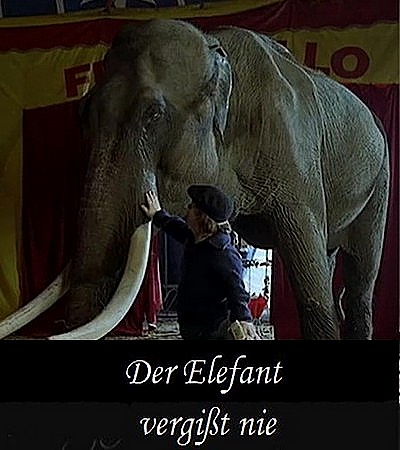 Слоны помнят всё / Der Elefant vergisst nie (1995) DVDRip