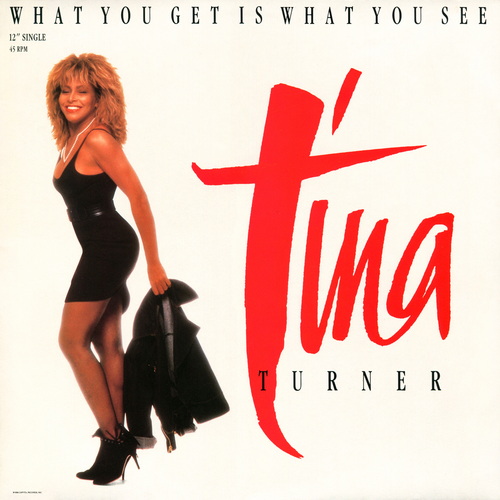 Tina Turner - What You Get Is What You See (12 Maxi-Single) (1987) WavPack