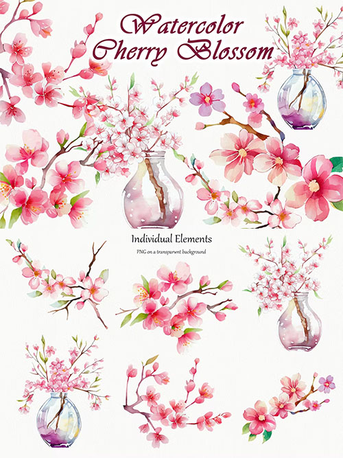 Cherry Blossom Watercolor Clipart