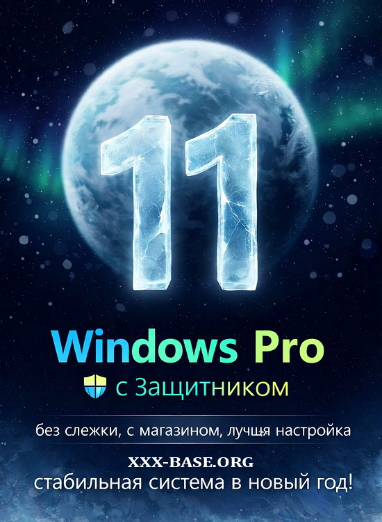 Windows 11 Pro 25H2 26200.7462 + Defender + Store