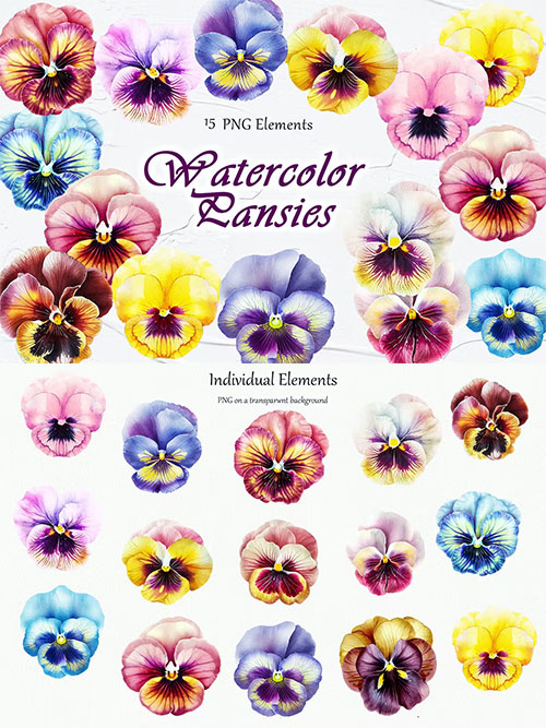 Pansy Flowers Watercolor Clipart