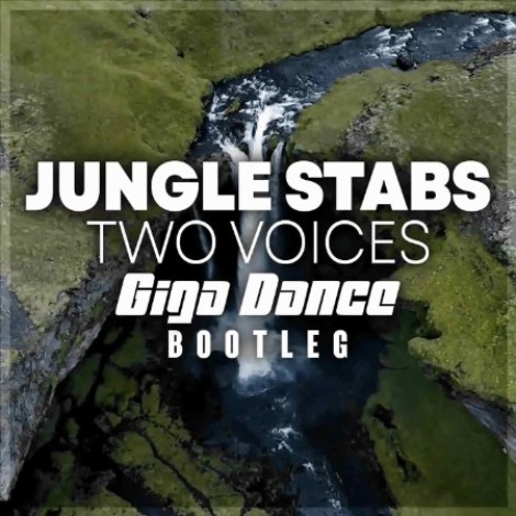 Jungle Stabs - Two Voices (Giga Dance Bootleg) (2026) mp3