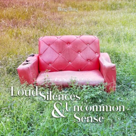 Lling Lling - Loud Silences & Uncommon Sense (2026) mp3