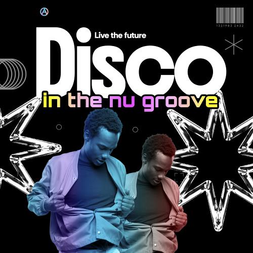 Disco In The Nu Groove Ken@Work, Don Disko, Pikau, Sourfunk
