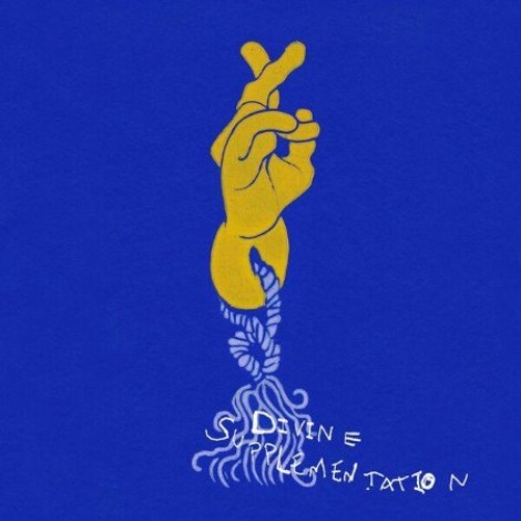 Derek Piotr, Thomas Brinkmann, Ican Harem - Divine Supplementation (2026) flac