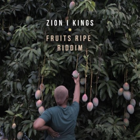 VA - Fruits Ripe Riddim (2026) mp3