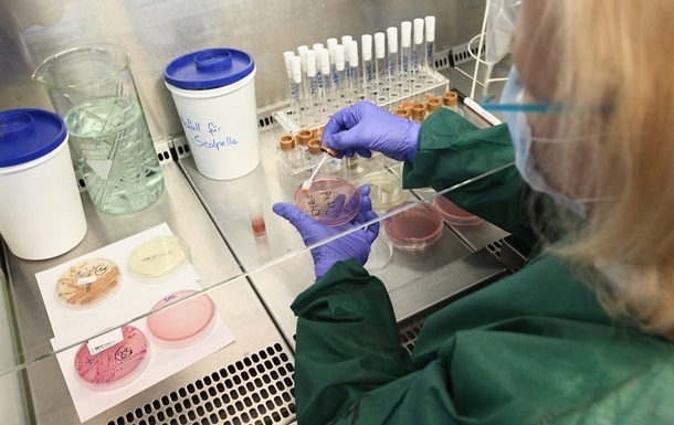 Учёные создали бактерии, способные "съедать" раковые опухоли