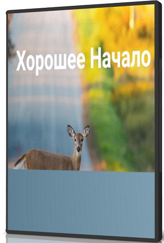 Елена Веселаго - Хорошее начало (2026) Вебинар