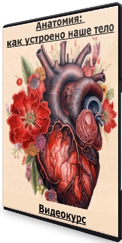 Level One - Анатомия: как устроено наше тело (2023) Видеокурс