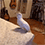 https://i127.fastpic.org/big/2026/0228/4e/c8d20f96a2e17949eff9e4739e37284e.gif