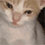 https://i127.fastpic.org/big/2026/0228/50/73cca283805950e4a858b64db3164050.gif