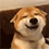 https://i127.fastpic.org/big/2026/0228/65/a2f5beffdeef916bda2158993dfb8765.gif