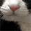 https://i127.fastpic.org/big/2026/0228/66/5fdf6a519c37b3e0ef4b04b65edafe66.gif