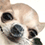 https://i127.fastpic.org/big/2026/0228/d2/d56b7c2b29a016b60dd16691d11554d2.gif