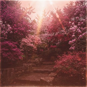 Crispin Earl - THE SLEEP TOKEN EDITION [EP] (2026)