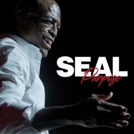Seal - Purpose (2026) mp3