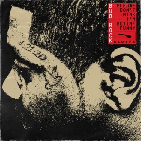 Bub Rock - Plea$e Don't Think I'm Actin Funny (2024) mp3