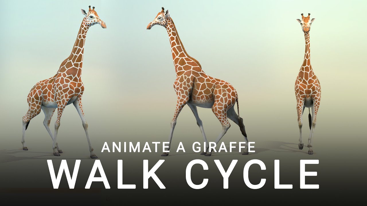 How To Animate A Giraffe Walk Cycle In Maya