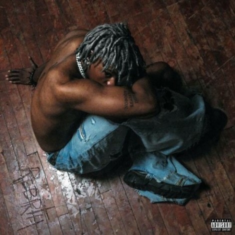 DC The Don - REBIRTH (2024) mp3